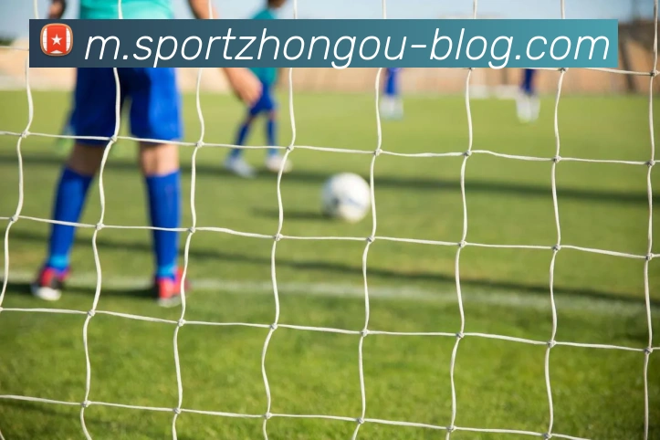 中欧体育品牌故事