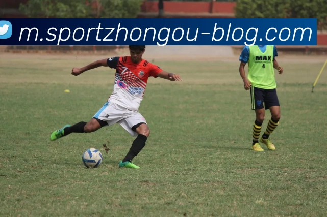 中欧体育服务体系